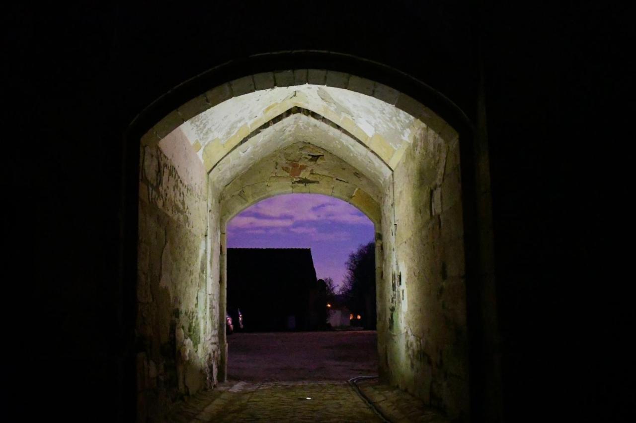 Un Chateau En Bourgogne Saincaize-Meauce Kültér fotó